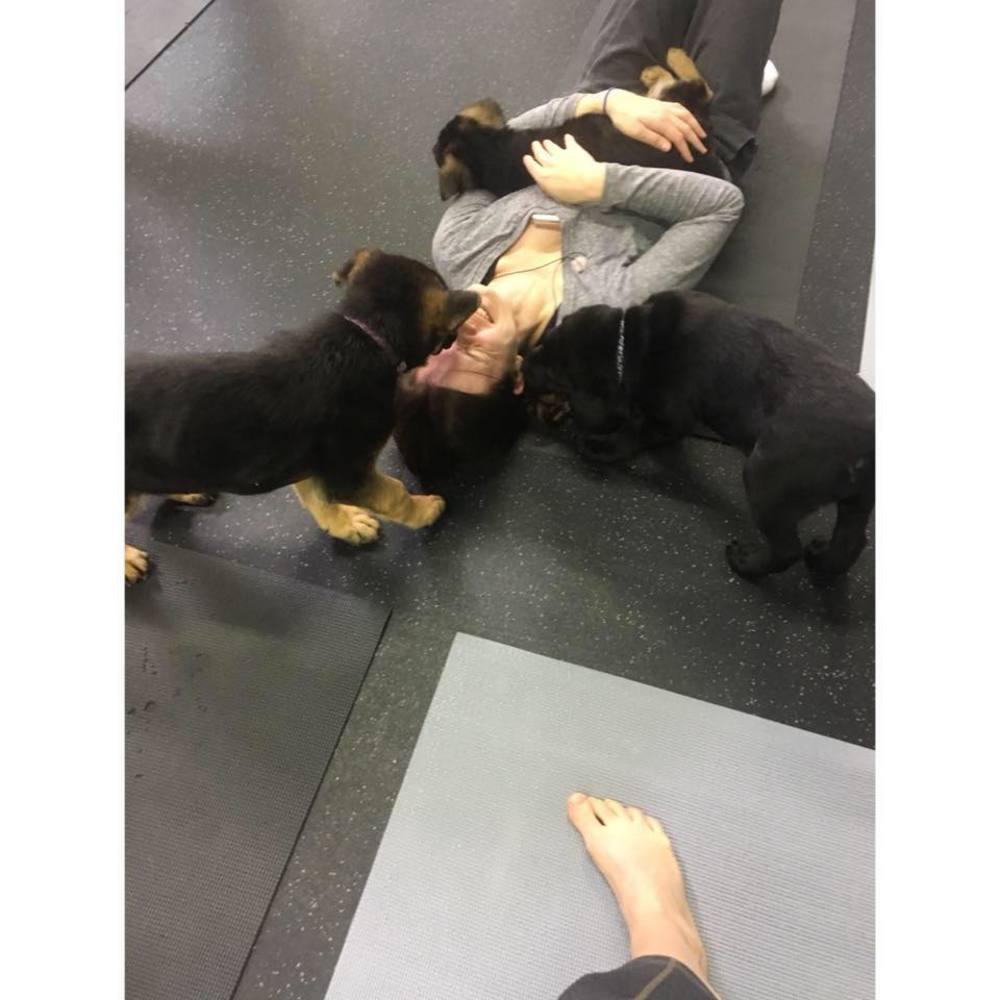 Meet your Posher, Emily